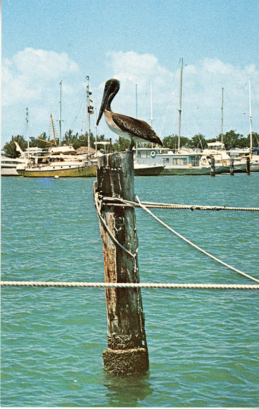 postcard